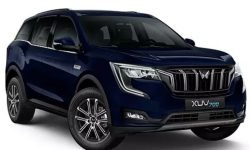 9bf31ec9101cb0daf2d3e520116c3c61